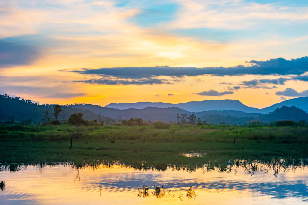 Solimar International - Cambodia