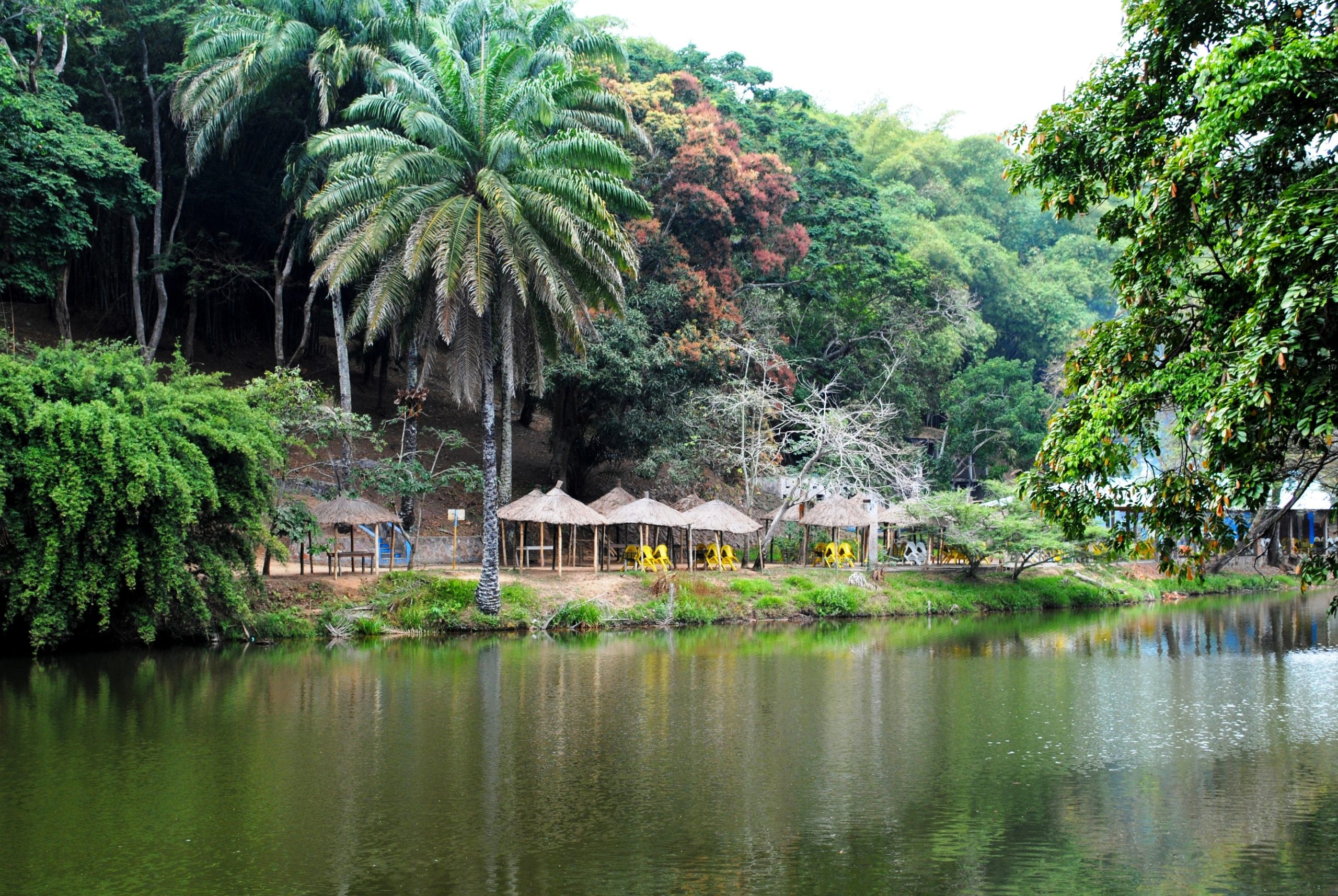 Republic of Congo Conservation Through Economic Empowerment in the ...