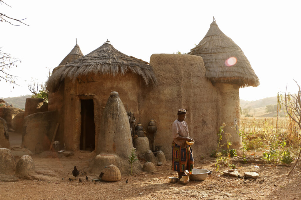 Solimar International - Benin Market Research Study