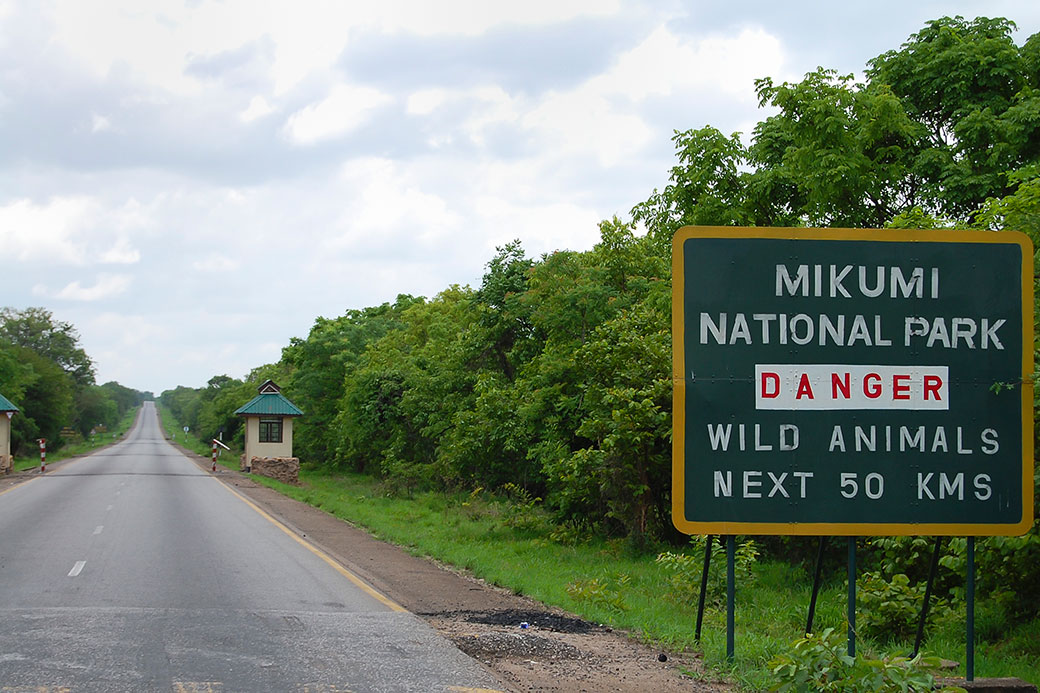 Southern Tanzania Destination Marketing