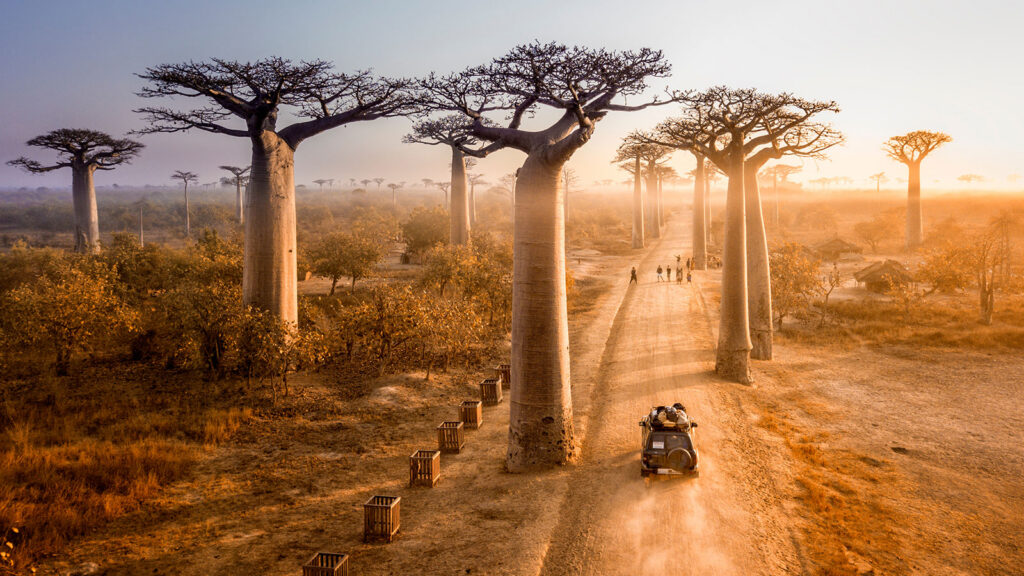 WWF Conservation Scorecard Madagascar