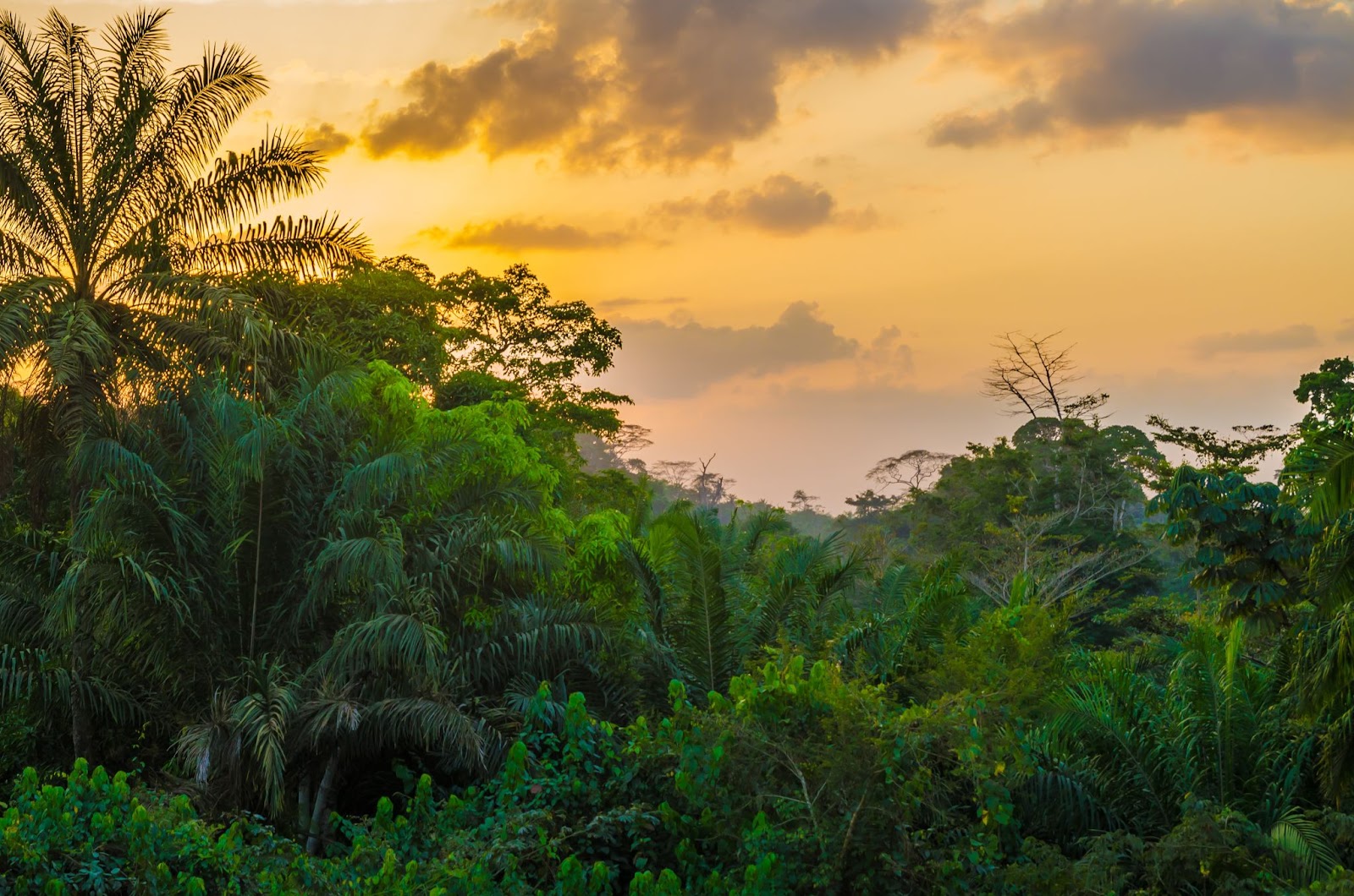 Sunset in Liberia