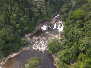 Elephant Falls Gola Liberia