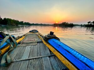 This picture is discovering the Sundarban forests