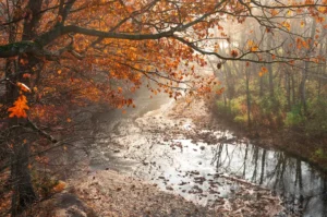 The pristine Rocky River Reservation, one of Cleveland's most peaceful Metropark