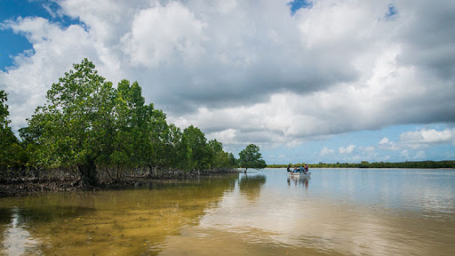 Photo courtesy of the World Bank Group. Showcases how management of sustainable techniques can get rivers flowing again in Southern Tanzania