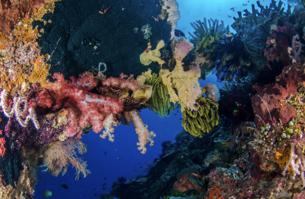 Community Tourism in Atauro Island