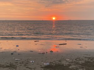 Beach clean ups