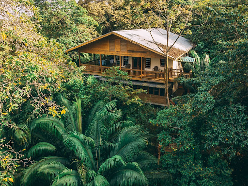 Hotel Tranquilo Bay uses nature based solutions to run their beautiful rainforest lodge