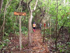 tourist trail meaning