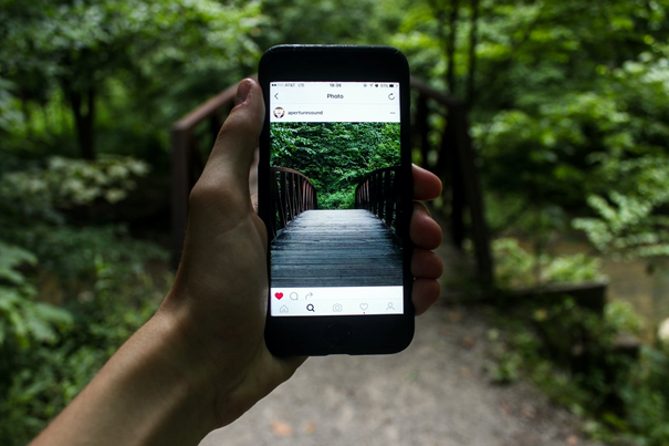 Person holding smart phone taking a photo of a bridge