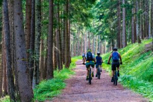 Mountain biking the Poverty Creek Trail System in Jefferson National Forest