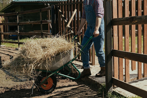 Agritourism in France allows you to explore rural activities and to connect with nature