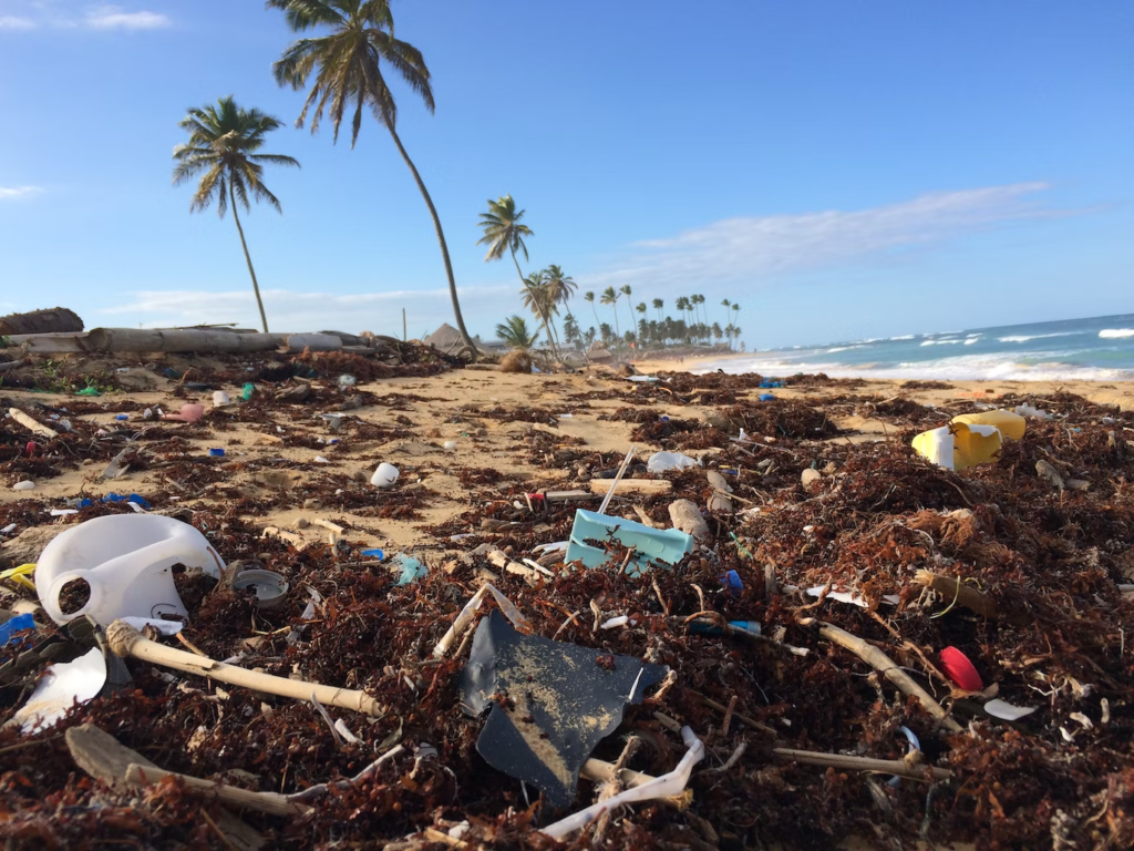 Litter on a beach near a resort in Punta Cana, Dominican Republic. (Dustin Woodhouse, Unsplash)