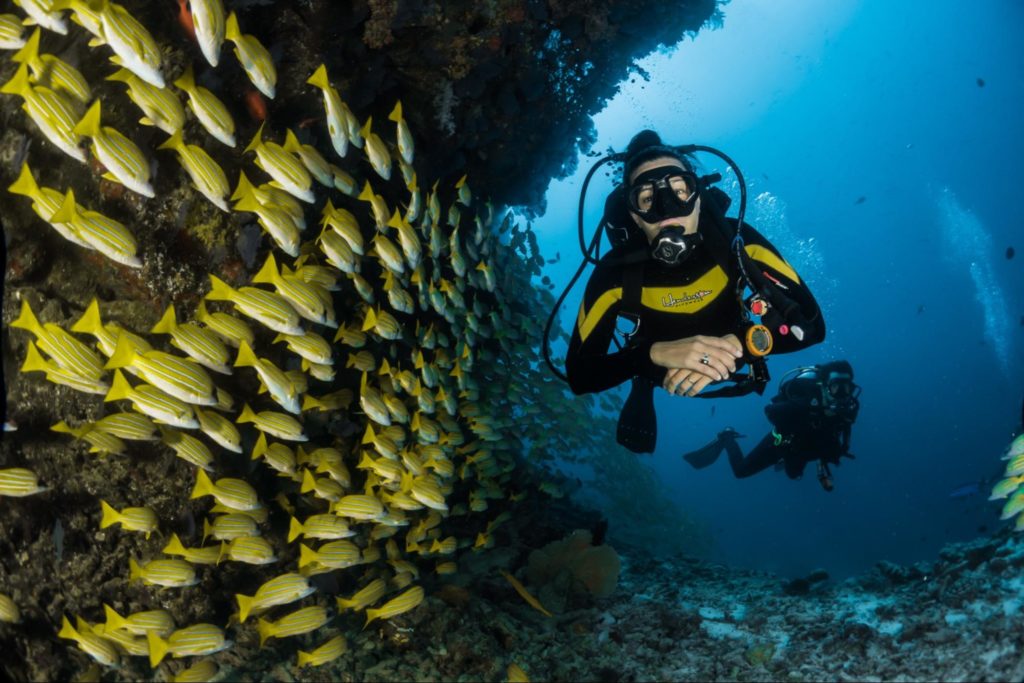Divers exploring a reef in the Maldives as tourists contributing the blue economy