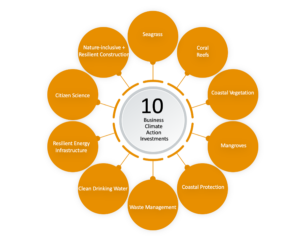 orange flower shaped diagram with ‘10 business climate action investments’ in the center