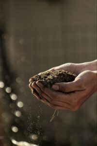 soil health