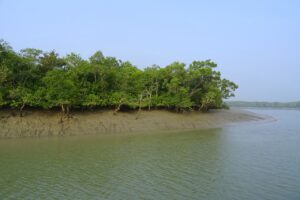 Ecotourism in Sundarbans in Bangladesh