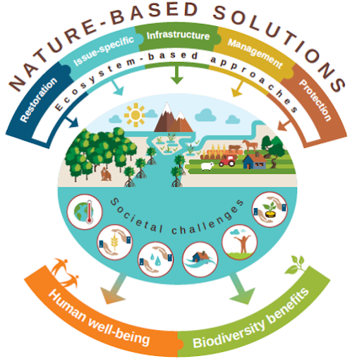 nature based solutions climate change