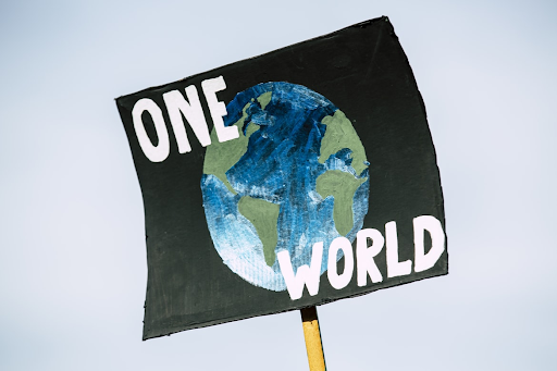 There is only one world, protect it