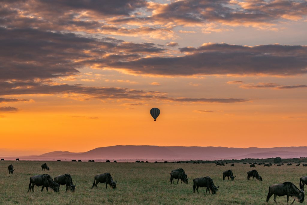 sustainable tourism learning opportunities in beautiful african plain