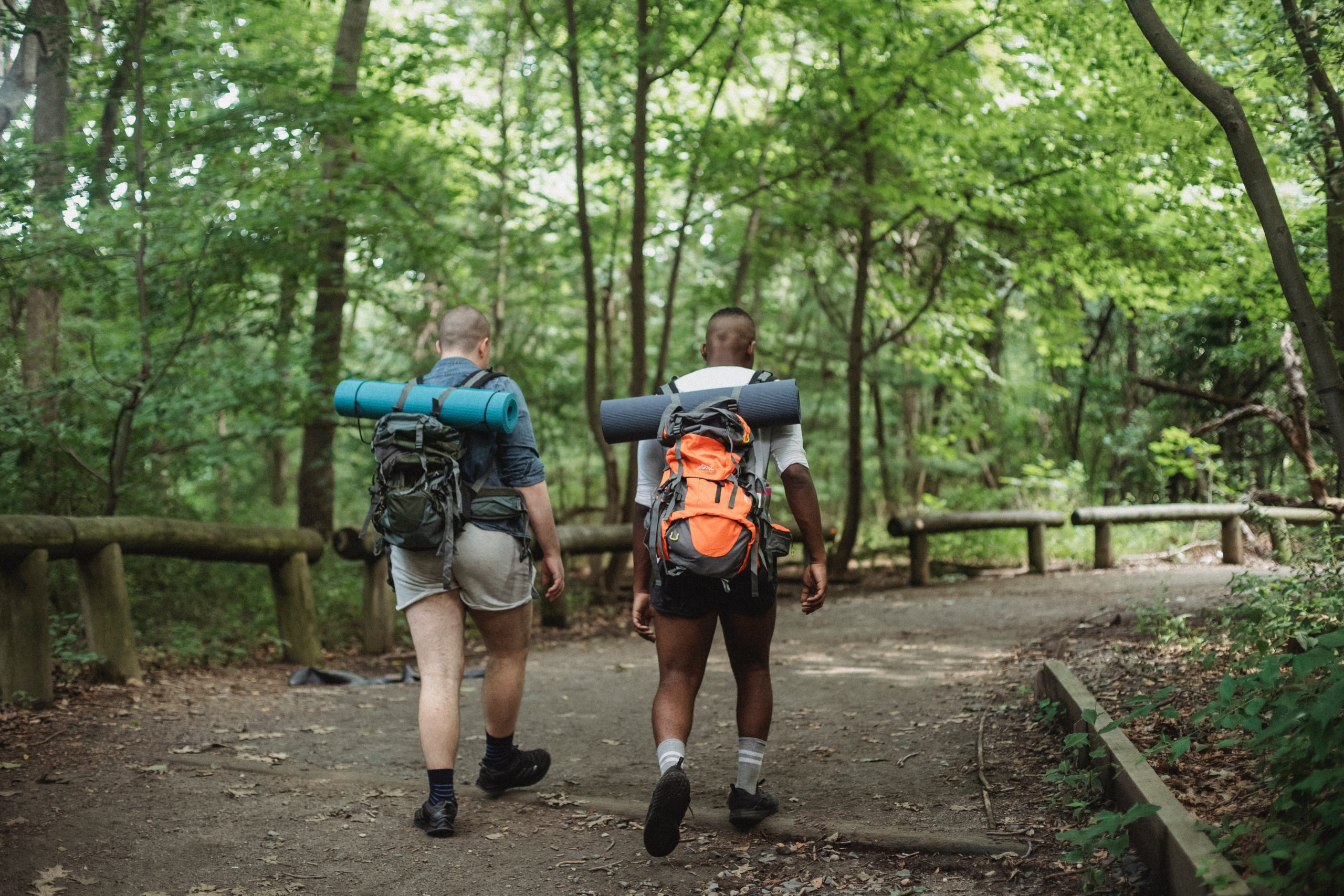 smoky mountains hikers exploring the region