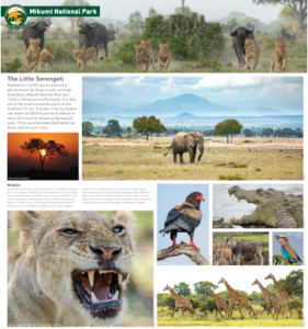 tanzania tourism marketing