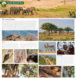 tanzania tourism marketing