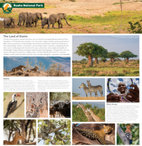 tanzania tourism marketing