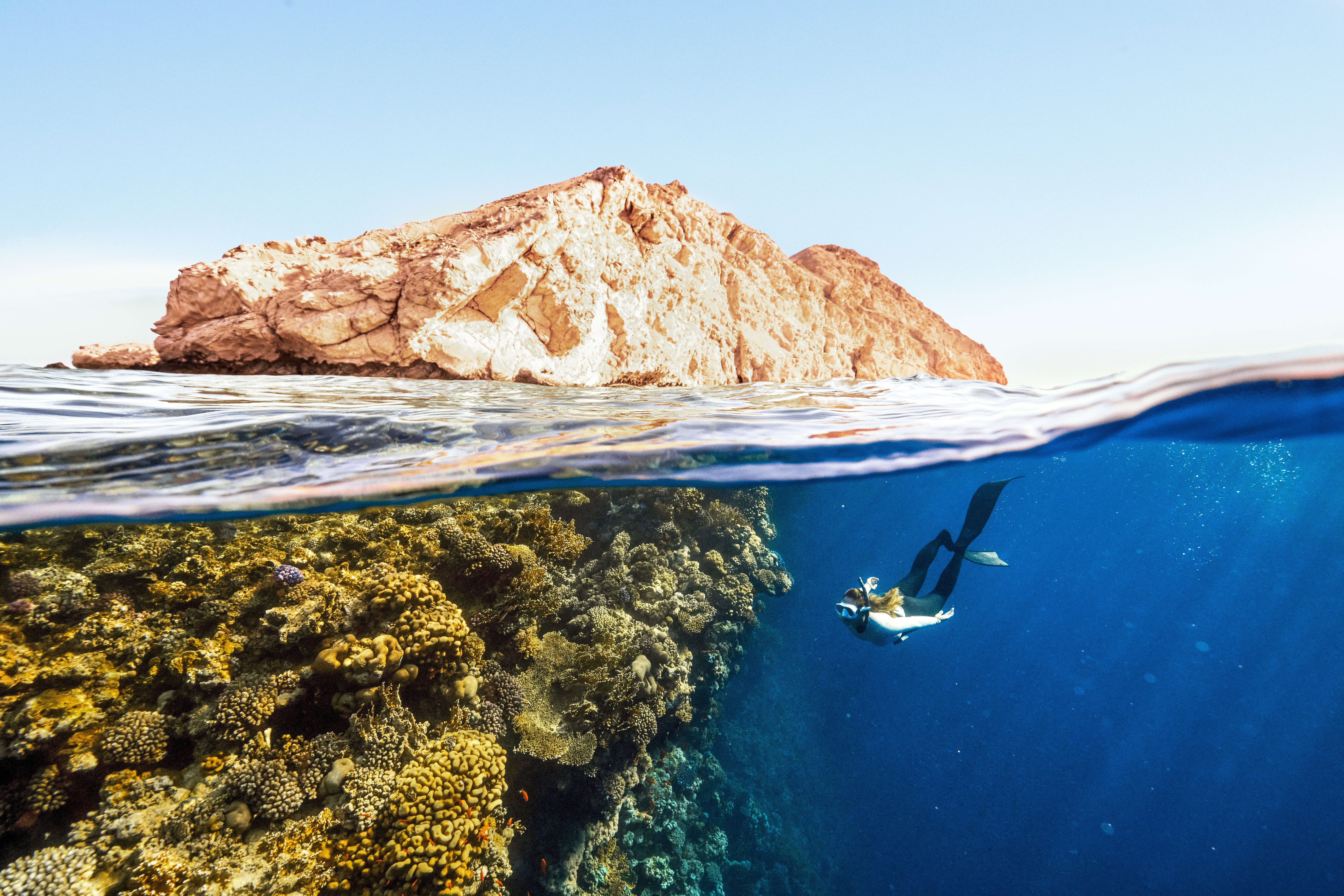 A scuba diver explores ocean ecosystems off the coast of Saudi Arabia