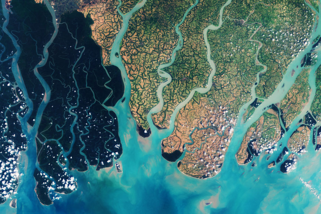 Sundarbans Destination Management