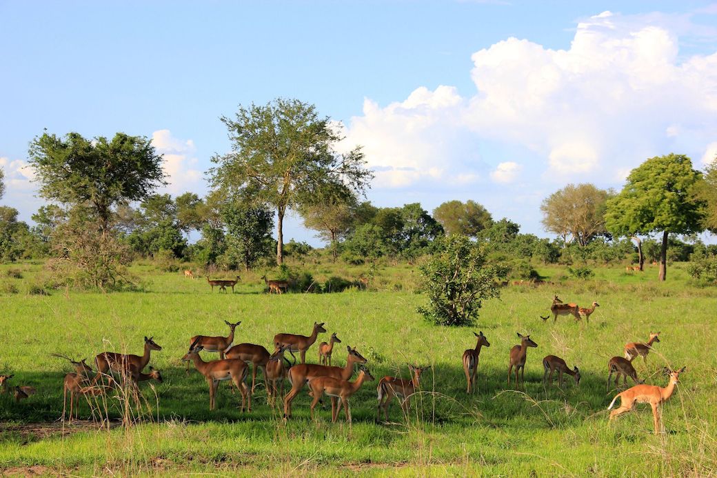 Southern Tanzania Tourism Plan