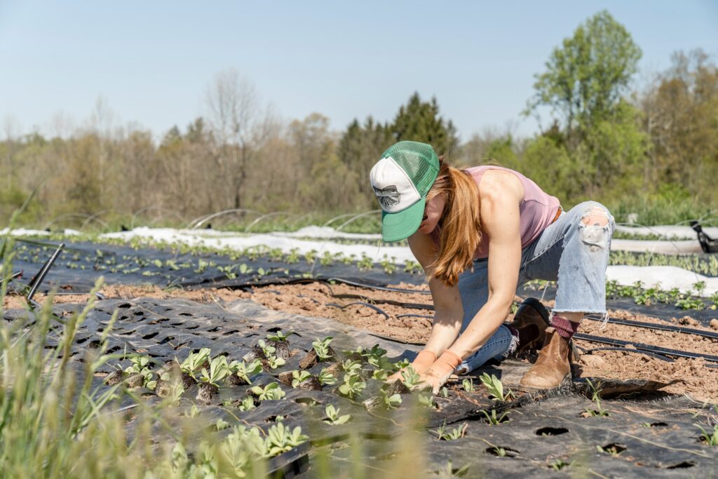 A women is bent down in a crop field participating in agritourism.